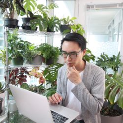 A person notices that her houseplants