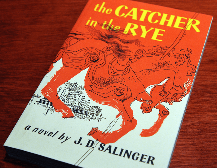 Catcher in the rye questions