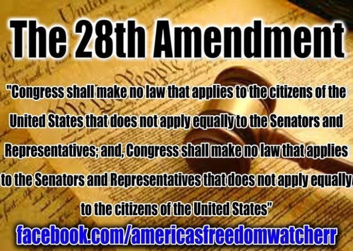 What should be the 28th amendment essay