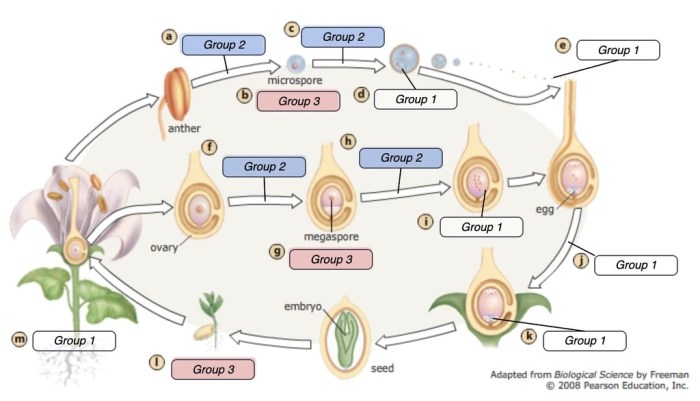 The properties of life mastering biology