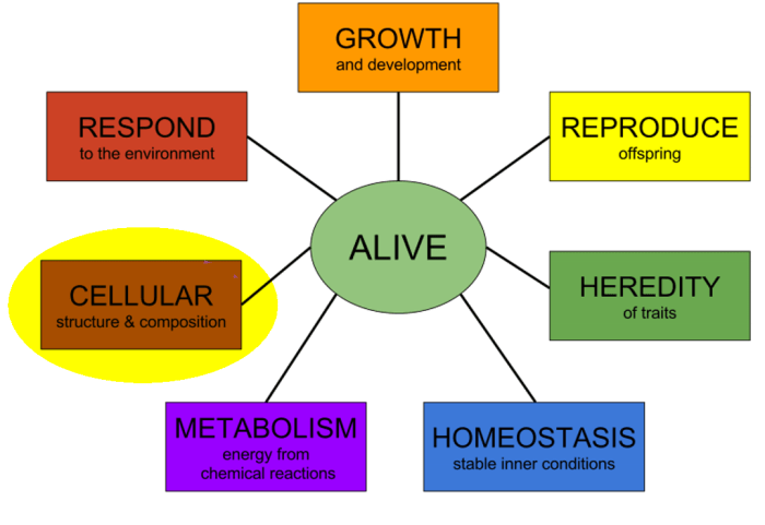 The properties of life mastering biology