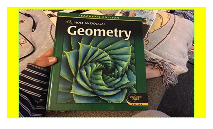 Geometry holt mcdougal textbook pdf