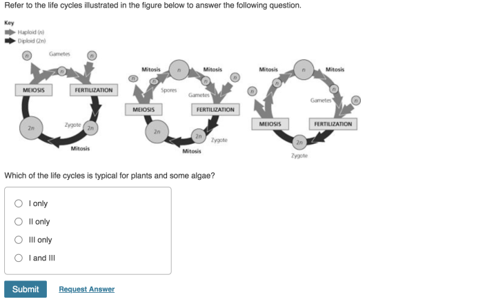 Organic map molecules key answer concept answers biology worksheet macromolecules worksheets cell science choose board