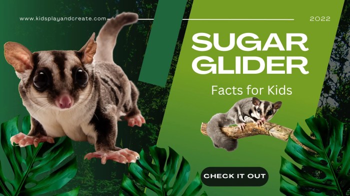 Can sugar gliders eat peanuts