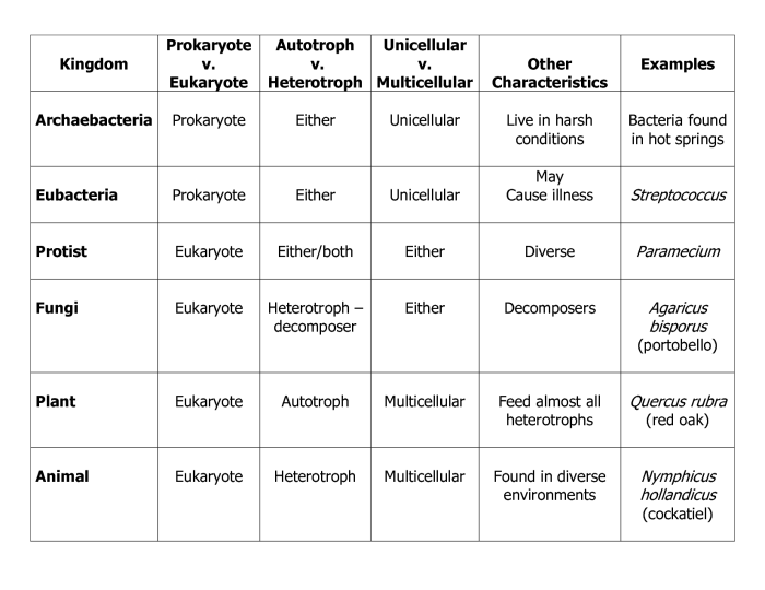 The six kingdoms of life review sheet answer key