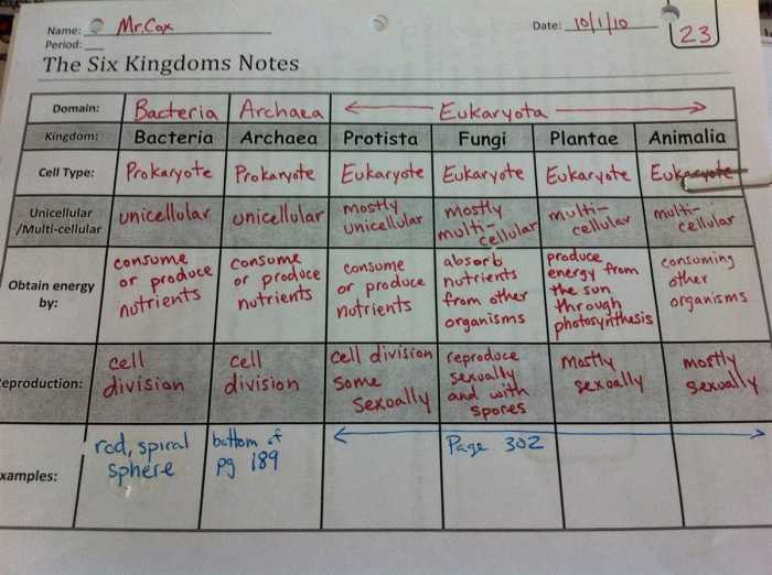 Kingdoms life six answer key vocabulary worksheets worksheet